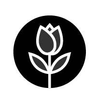 out/pictures/discount_banner/019c9a49-fa21-7ffd-82c6-ecc38bc56528.png Vorschaubild