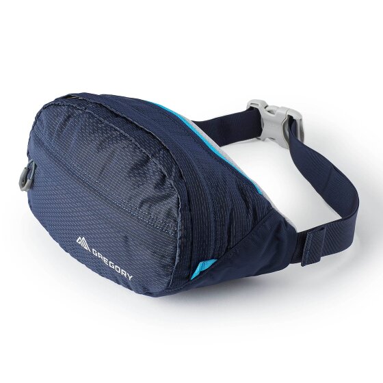 Gregory Nano Waistpack 3.5 Gürteltasche 33 cm