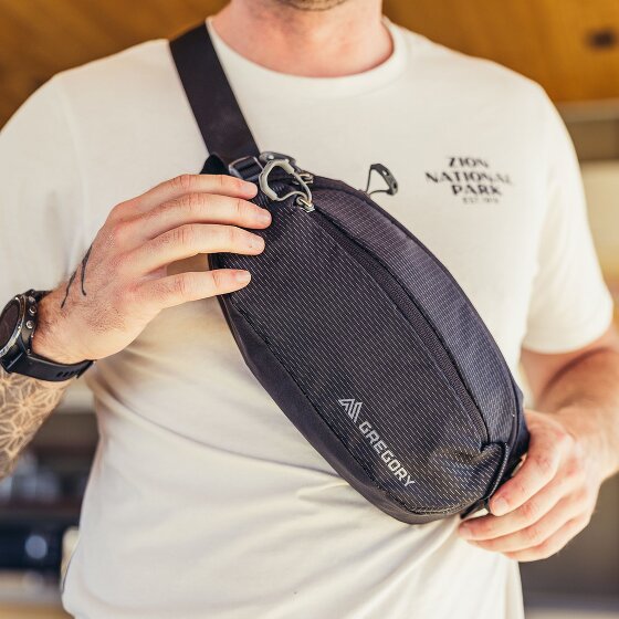 Gregory Nano Gürteltasche 33 cm