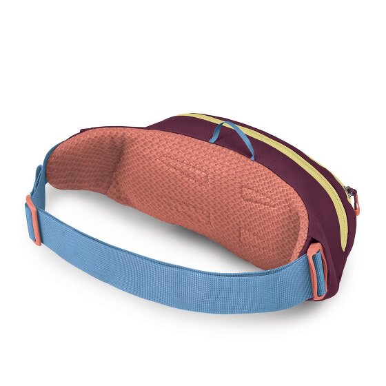 Osprey Daylite Waist Gürteltasche 45 cm