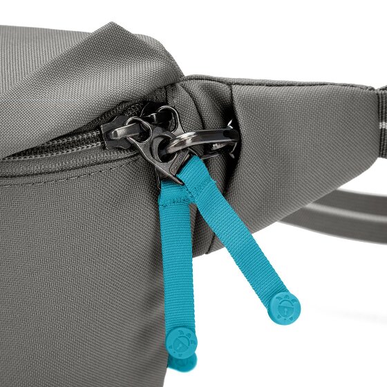Pacsafe Pacsafe Go Gürteltasche RFID Schutz 27 cm