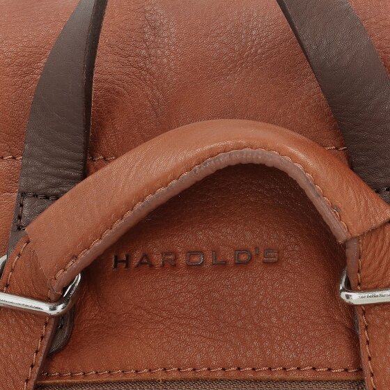 Harold's Lift City Rucksack Leder 33 cm