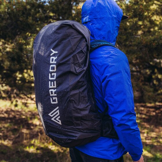 Gregory Focal 48 Trekkingrucksack L 79 cm