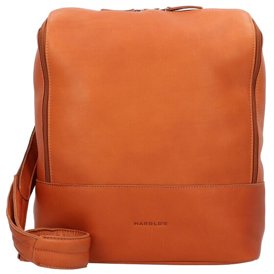 Harold's Campo Rucksack Leder 35 cm Laptopfach