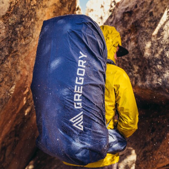 Gregory Baltoro 65 Trekkingrucksack M 81 cm