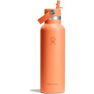 Hydro Flask Hydration Standard Flex Straw Cap Trinkflasche 620 ml Produktbild