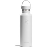 Hydro Flask Hydration Standard Flex Cap Trinkflasche 621 ml Produktbild