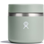 Hydro Flask Insulated Thermobehälter 591 ml Produktbild