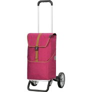 Andersen Shopper Alu Star Shopper Auke Einkaufstrolley 59 cm Produktbild
