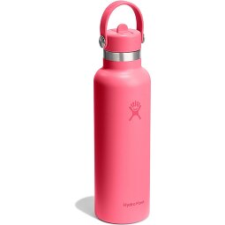Hydro Flask Hydration Standard Flex Straw Cap Trinkflasche 620 ml  Variante 9