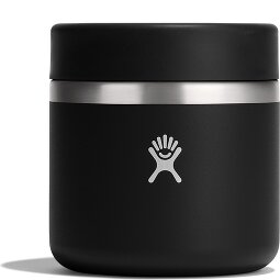 Hydro Flask Insulated Thermobehälter 591 ml  Variante 1