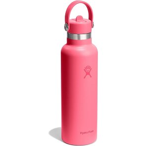 Hydro Flask Hydration Standard Flex Straw Cap Trinkflasche 620 ml