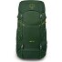 Ace 38 Trekkingrucksack 64 cm Variante green canopy-matcha green Ace 38 Trekkingrucksack 64 cm Variante green canopy-matcha green
