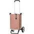 Alu Star Shopper Silja Einkaufstrolley 65 cm Variante terra pink Alu Star Shopper Silja Einkaufstrolley 65 cm Variante terra pink