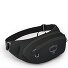  Daylite Waist Gürteltasche 45 cm Variante black