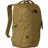  Vault Daypack 46 cm Laptopfach Variante cedar