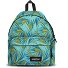 Padded Pak'r Padded Pak'r Daypack 40 cm Variante brize palm aqua Padded Pak'r Padded Pak'r Daypack 40 cm Variante brize palm aqua