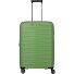 mooby 4 Rollen Trolley M 66 cm mit Dehnfalte Variante grün mooby 4 Rollen Trolley M 66 cm mit Dehnfalte Variante grün