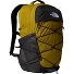 Borealis Rucksack 49,5 cm Laptopfach Variante deep dijon-tnf black Borealis Rucksack 49,5 cm Laptopfach Variante deep dijon-tnf black