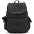  Basic Plus City Pack Daypack 37 cm Variante signature emb