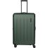  Dynamiic 4 Rollen Trolley L 76 cm mit Dehnfalte Variante grün