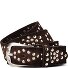  Nietengürtel Leder Variante dark brown | 100 cm