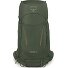 Kestrel 48 Trekkingrucksack S-M 79 cm Variante bonsai green  Kestrel 48 Trekkingrucksack S-M 79 cm Variante bonsai green