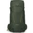  Kestrel 38 Trekkingrucksack S-M 79 cm Variante bonsai green