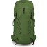 Talon 33 L-XL Rucksack 70 cm Variante green belt-black Talon 33 L-XL Rucksack 70 cm Variante green belt-black