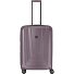  X-Ray 4-Rollen Trolley 72 cm Variante taupe