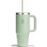  Tumblers Travel Trinkflasche 710 ml Variante aloe