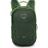  Jet 12 Wanderrucksack 36.5 cm Variante green canopy-limeline green