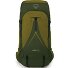 Atmos AG LT 65 Trekkingrucksack L-XL 90 cm Variante scenic valley-green peppercorn Atmos AG LT 65 Trekkingrucksack L-XL 90 cm Variante scenic valley-green peppercorn