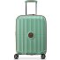  Carrousel 2 4 Rollen Kabinentrolley 55 cm mit Dehnfalte Variante sage green