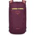  Daylite 0 Daypack 41 cm Variante moody burgundy