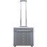 2-Rollen Pilotentrolley 41 cm Variante platinum 2-Rollen Pilotentrolley 41 cm Variante platinum