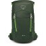  Jet 18 Wanderrucksack 46 cm Variante green canopy-limeline green