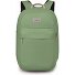  Arcane Daypack XL 50 cm Laptopfach Variante botanica