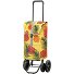 Quattro Shopper Lotta Einkaufstrolley 59 cm Variante gelb Quattro Shopper Lotta Einkaufstrolley 59 cm Variante gelb