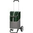  Alu Star Shopper Gese Einkaufstrolley 59 cm Variante grün