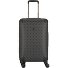  Wilder 4 Rollen Trolley 64 cm mit Dehnfalte Variante charcoal