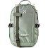  Tight Daypack 39 cm Laptopfach Variante chlorophyll green-seaweed green