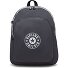  Curtis Daypack L 43 cm Laptopfach Variante moonlit grey c