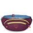  Daylite Waist Gürteltasche 45 cm Variante moody burgundy