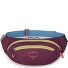  Daylite Gürteltasche 45 cm Variante moody burgundy