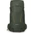  Kestrel 38 Wanderrucksack L-XL 78 cm Variante bonsai green