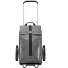  Citycruiser Einkaufstrolley 55 cm Variante twist silver
