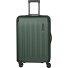  Dynamiic 4 Rollen Trolley 66 cm mit Dehnfalte Variante grün