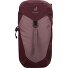 AC Lite 14 SL Wanderrucksack 54 cm Variante ashrose-cassis AC Lite 14 SL Wanderrucksack 54 cm Variante ashrose-cassis