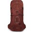  Aether 65 Trekkingrucksack S-M 80 cm Variante acorn red